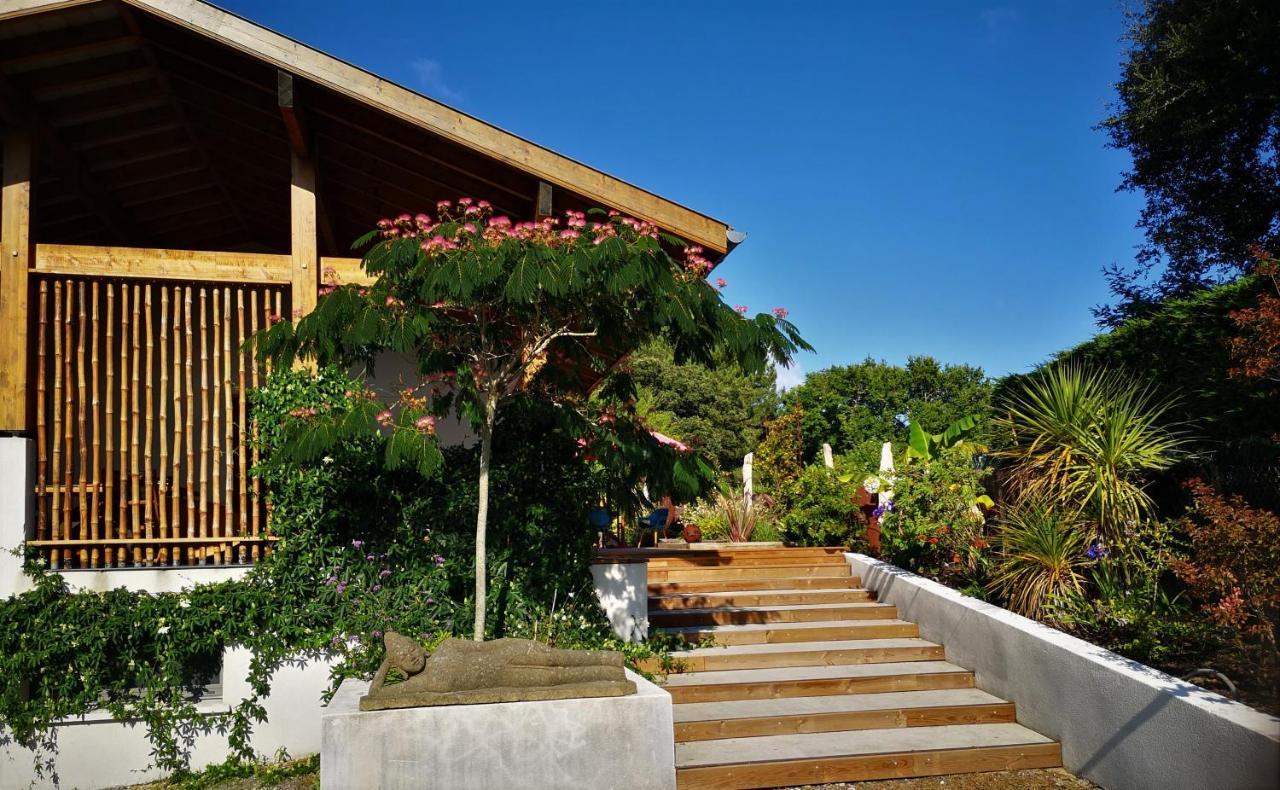 Villa Hossegor - 4 Etoiles, 6 Chambres - 5 Salles De Bains - Piscine Chauffee 5 Mn Des Plages 索尔特奥瑟戈尔 外观 照片